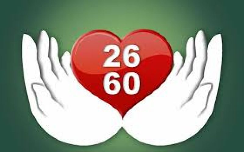 TEORIA DELLA SIMILITUDINE DI&nbsp;FORMA