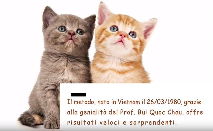 Dien Chan agli animali