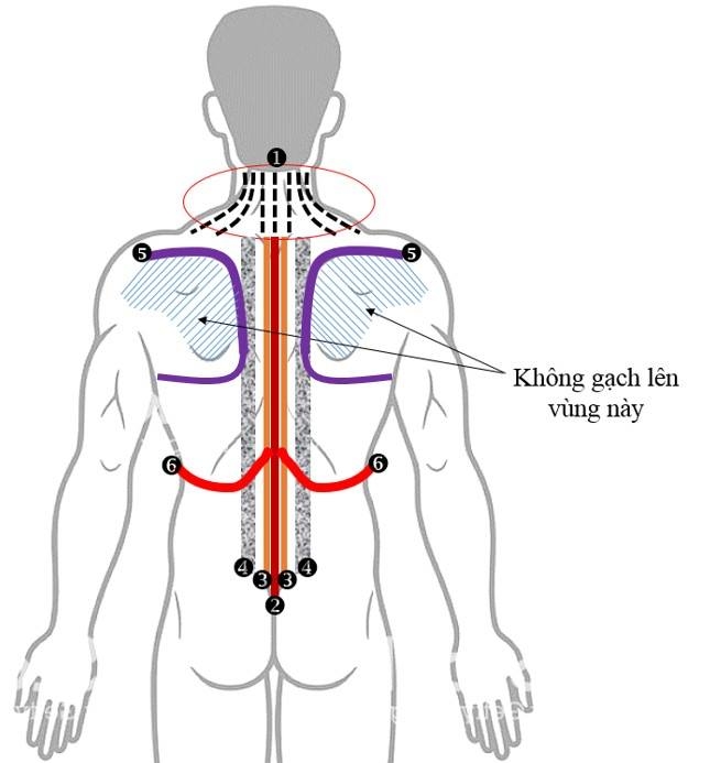 Dien Chan: come prevenire il Corona Virus – consigli di Bui Minh&nbsp;Tam