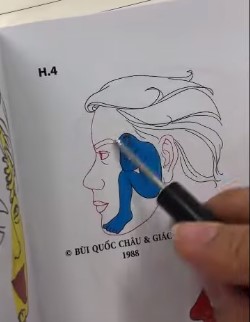 “Colorare” metodo originale Dien&nbsp;Chan®