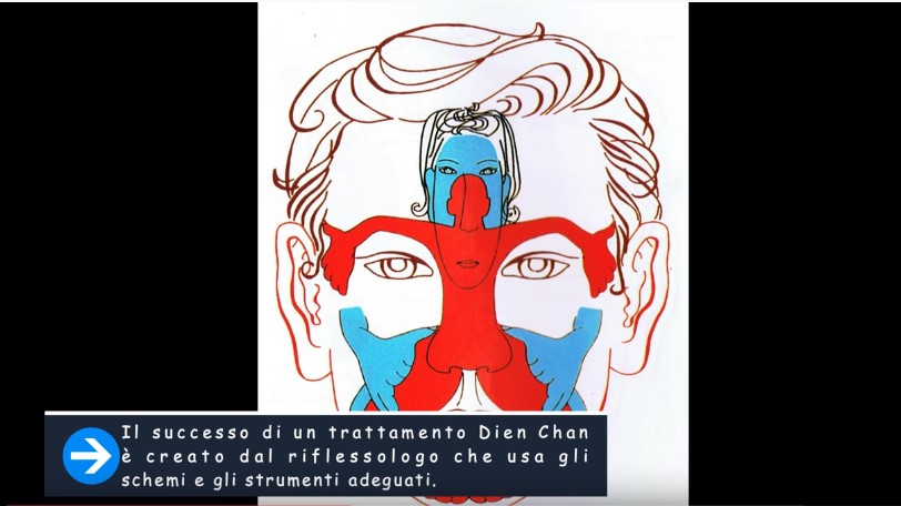 Ordinamento nervoso Dien&nbsp;Chan®