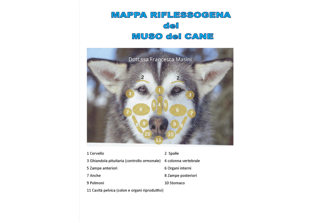 Dien Chan alla gattina (con&nbsp;mappe)