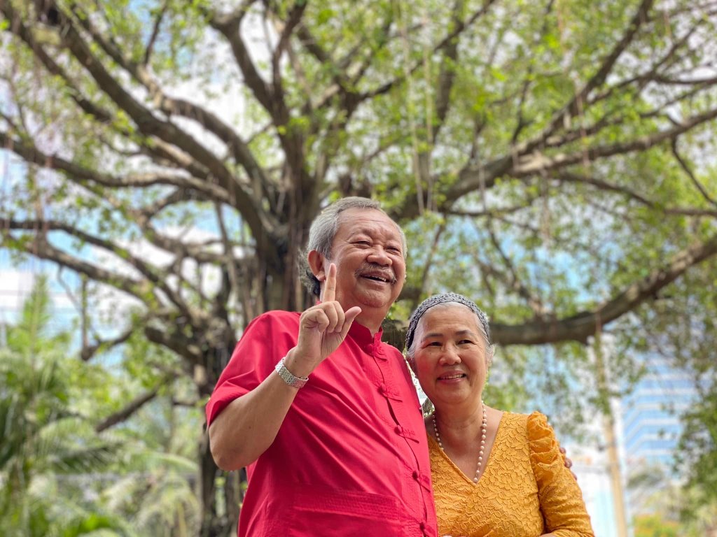 Il rastrello Dien&nbsp;Chan